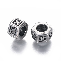 304 Stainless Steel European Beads&nbsp;STAS-G204-22AS