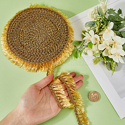 Polyester Tassel Lace Ribbons&nbsp;DIY-WH0530-70B