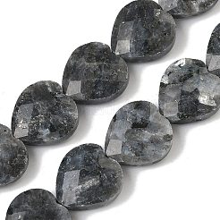 天然ラルビカイトビーズ連売り  多面カット  ハート  14.5~15x15~15.5x5.5~6mm  穴：1mm  約10個/連  5.51~5.71''（14~14.5センチメートル）&nbsp;G-A309-A18-01