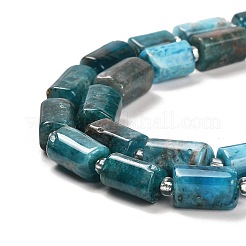 Natural Apatite Beads Strands&nbsp;G-G068-A11-01