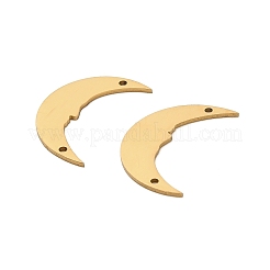 201 Stainless Steel Connector Charms&nbsp;STAS-Z162-05G