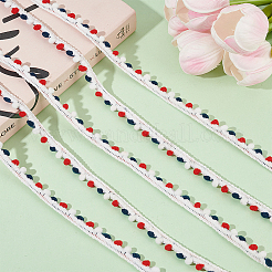 10 Yards Polyester Pom Pom Ball Tassel Ribbons&nbsp;DIY-AR0004-06