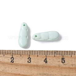 Natural Rainbow Alashan Agate Charms&nbsp;G-G194-05C