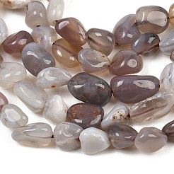 Natural Botswana Agate Nuggets Beads Strands&nbsp;G-B170-A01