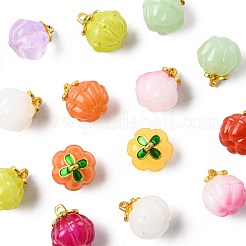 24Pcs 9 Colors Glass Charms&nbsp;GLAA-FS0002-42
