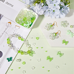 Transparent Mixed Styles Acrylic Beads&nbsp;TACR-SC0001-27B