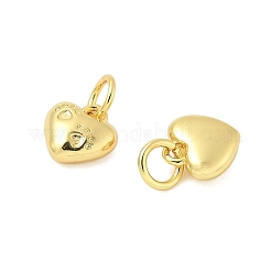 Brass Charms&nbsp;KK-I276-64G