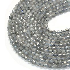 Natural Labradorite Beads Strands&nbsp;G-A260-A44-01A