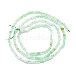 Natural Chrysoprase Beads Strands&nbsp;G-P457-A01-23