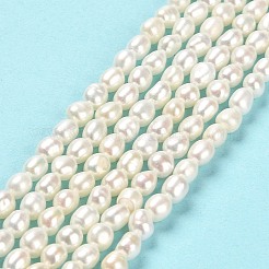 天然養殖淡水パールビーズ連売り  研磨両側  グレード7 A  リネン  3~3.5x4~4.5mm  穴：0.5mm  約67個/連  13.98''~14.17''（35.5~36センチメートル）&nbsp;PEAR-E016-105