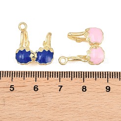 Alloy Enamel Pendants&nbsp;FIND-B062-15G