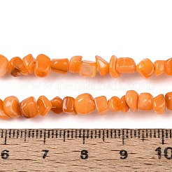 Natural Freshwater Shell Beads Strands&nbsp;SHEL-N037-04F
