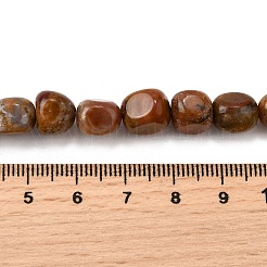 天然石ペトリファイドウッドビーズ連売り  ナゲット  タンブルストーン  7~12x7~10x7~10mm  穴：1.2~1.4mm  約41個/連  15.39インチ（39.1cm）&nbsp;G-L621-C11-02