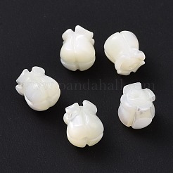 Natural Trochid Shell/Trochus Shell Beads&nbsp;SHEL-P014-01