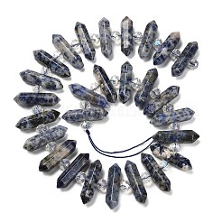 Natural Blue Spot Jasper Double Terminated Point Beads Strands&nbsp;G-H069-B10-01
