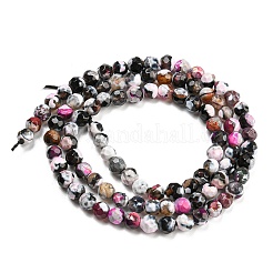 Dyed Natural Fire Crackle Agate Beads Strands&nbsp;G-G007-01B