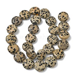 天然石ダルメシアンジャスパービーズ連売り  フラットラウンド  15~15.5x6mm  穴：0.8~1mm  約26個/連  15.55~15.71インチ（39.5~39.9cm）&nbsp;G-L648-B19-15mm