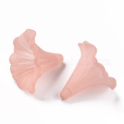 Transparent Acrylic Beads&nbsp;BSF796-C11