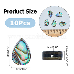 10Pcs Abalone Shell/Paua Shell Beads&nbsp;SSHEL-FI0001-01
