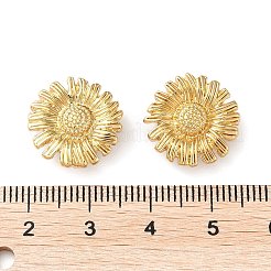Rack Plating Brass Connector Charms&nbsp;KK-K346-23G
