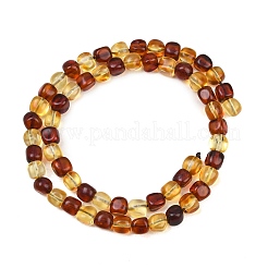 Two Tone Natural Amber Beads Strands&nbsp;G-K426-A03-05