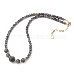 Natural Larvikite Round Graduated Beaded Necklaces&nbsp;NJEW-JN05654-03