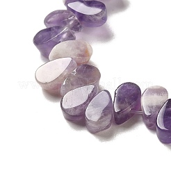 Natural Amethyst Beads Strands&nbsp;G-B064-B01