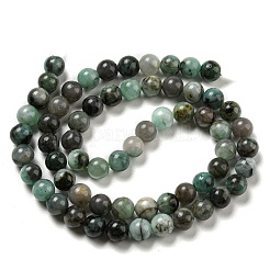 Synthetic Emerald Beads Strands&nbsp;G-A219-A02-02-1