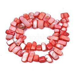 Natural Trochid Shell/Trochus Shell Beads Strands&nbsp;SHEL-S258-082-B06