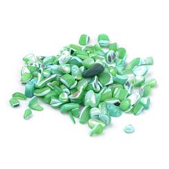 Natural Sea Shell Beads&nbsp;SSHEL-Q299-017D