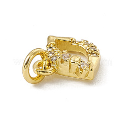 Brass Micro Pave Cubic Zirconia Charms&nbsp;ZIRC-F132-76G