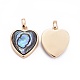 Natural Abalone Shell/Paua ShellCharms&nbsp;BSHE-F011-04B-G-2