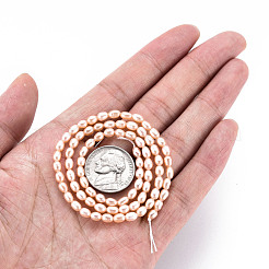 天然養殖淡水パールビーズ連売り  ライス  ライトサーモン  4.5~6x3~3.5mm  穴：0.5mm  約76~78個/連  14.37インチ（36.5cm）&nbsp;PEAR-N012-02C