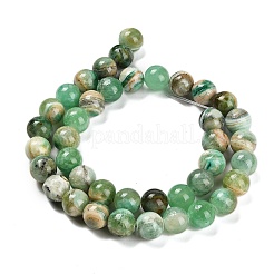 Natural Green Line Jasper  Beads Strands&nbsp;G-B128-A03-04