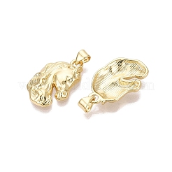 Brass Pendants&nbsp;KK-N287-45B-G