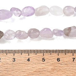 天然石アメジストビーズ連売り  タンブルストーン  ナゲット  6~14x6~8x4~6mm  穴：1mm  約20~24個/連  7.09~7.48''（18~19センチメートル）&nbsp;G-C286-A24