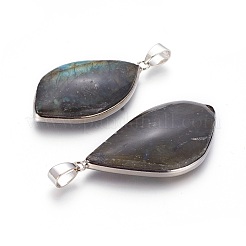 Natural Labradorite Pendants&nbsp;G-L524-01P