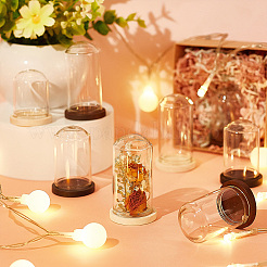 15Pcs Mini Glass Dome Cover&nbsp;DJEW-BC0001-19