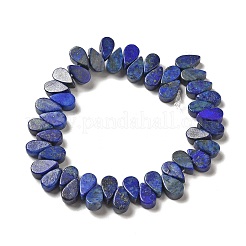 Natural Lapis Lazuli Dyed Beads Strands&nbsp;G-B064-B20