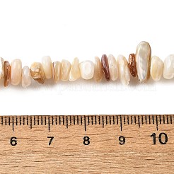 天然石シェルビーズ連売り  ナゲットチップス  レモンシフォン  5~13.5x5~8x1.5~6.5mm  穴：1mm  約282個/連  31.30インチ（79.5cm）&nbsp;BSHE-G029-01B