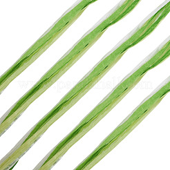 Raffia Twine Yarn&nbsp;OCOR-TAC0025-009D