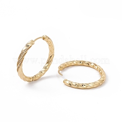 Cubic Zirconia Twist Hoop Earrings&nbsp;EJEW-B014-11G