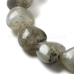 天然石ラブラドライトビーズ連売り  ハート  10x10x4.5~5mm  穴：0.7mm  約20個/連  7.28''~7.48''（18.5~19センチメートル）&nbsp;G-P528-C05-01