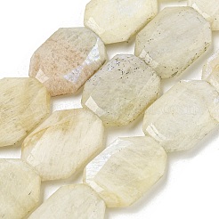 Natural Rainbow Moonstone Beads Strands&nbsp;G-P544-B05-01