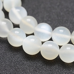 Natural White Moonstone Beads Strands&nbsp;G-J373-13-10mm