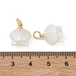 アブシミテーションパールペンダント  シェルシェイプチャーム  304ステンレススチールオープン丸カン付き  乳白色  ゴールドカラー  14x12.5x6.5mm  穴：3.5mm&nbsp;PALLOY-JF05669-02