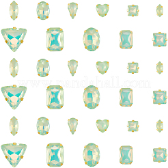 Glass Steel Claw Sew on Rhinestone&nbsp;FIND-WH20040-07G-03