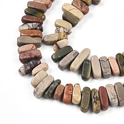 Natural Polychrome Jasper/Picasso Stone/Picasso Jasper Beads Strands&nbsp;G-T140-63