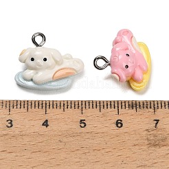 Opaque Resin Pendants&nbsp;RESI-B047-04