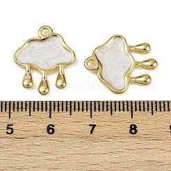 304 Stainless Steel Enamel Pendants&nbsp;STAS-L290-09G